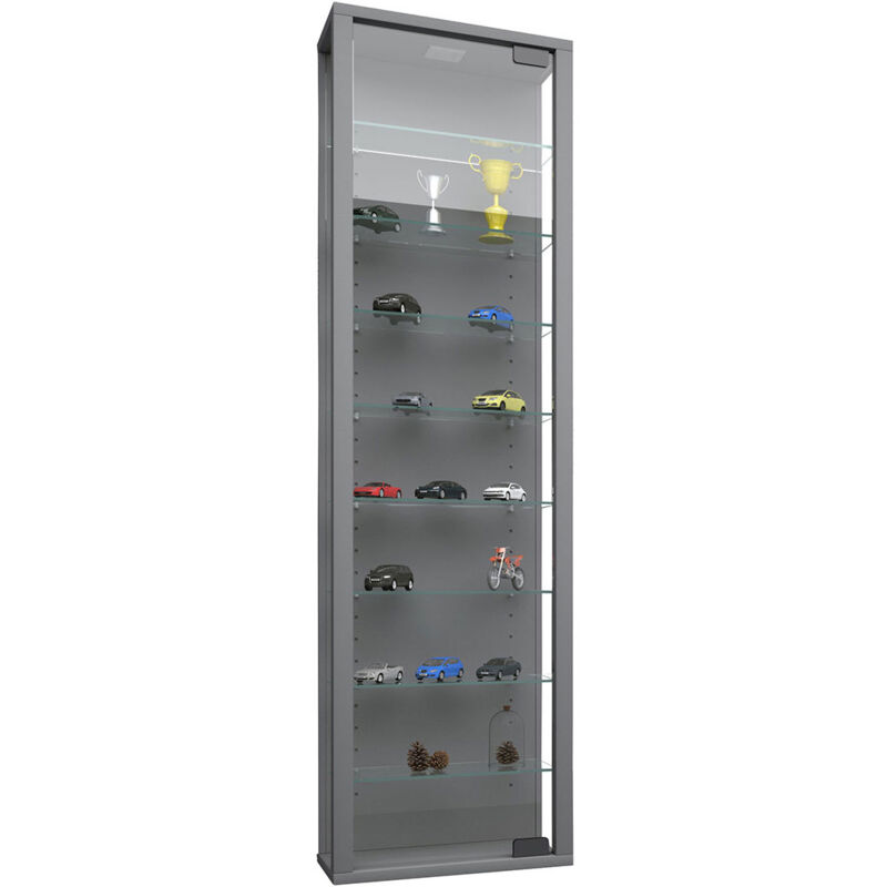 Ebuy24 - Stano Maxi Vitrine, 1 porte vitrée, éclairage led inclus, à fixer au mur, argenté.