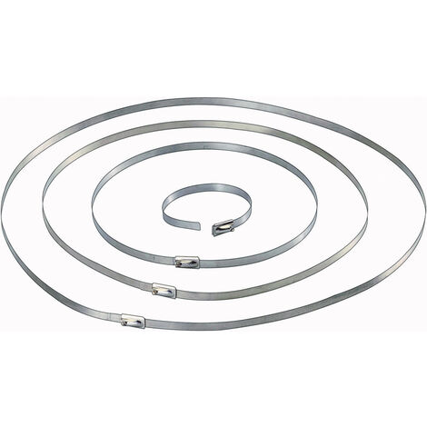 TRU COMPONENTS 1570838 Kabelbinder 201 mm 4.60 mm Silber 10 St.