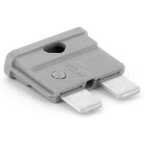 TRU COMPONENTS 8551200 Fusible plat standard pour voiture 2 A gris 1 pc(s) Q246772