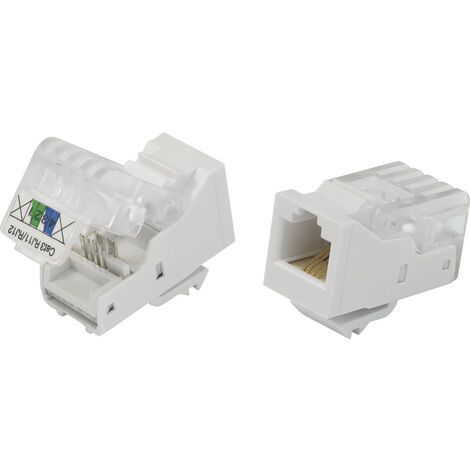 TRU COMPONENTS 93014c937 Modularbuchse, werkzeuglos Buchse, gerade    Natur 1 St.