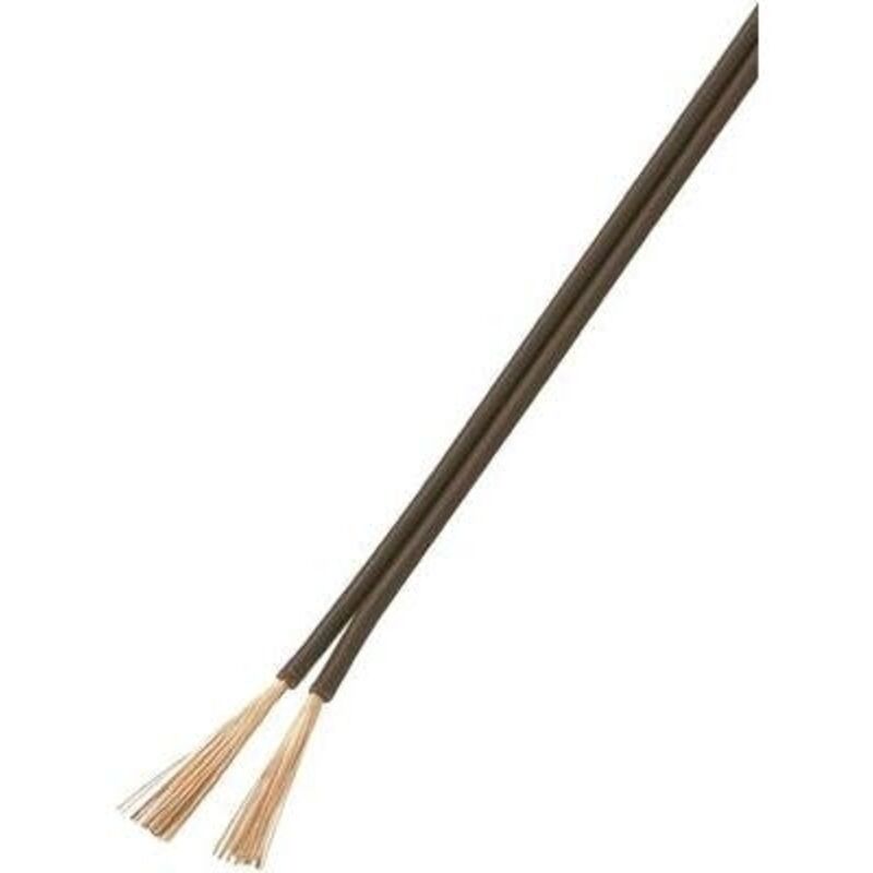 Fil de câblage conrad components 93030C525 2 x 0.50 MM² marron 25 m