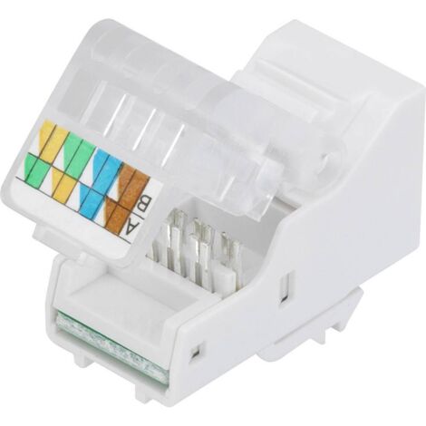 Tru Components – Fiche modulaire RJ45 femelle 1365812 – Droit gris – Connecteur autodénudant pour applications réseau CAT 5e - GRIS 1 PC
