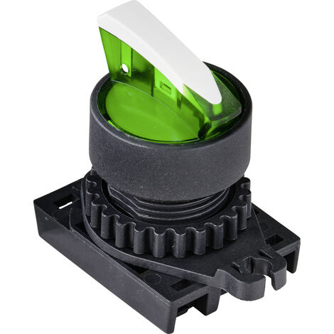 TRU COMPONENTS TC-9860192 S2SRN-L5KG Wahltaste  Knebel Grün 2 x 45 °  1 St.