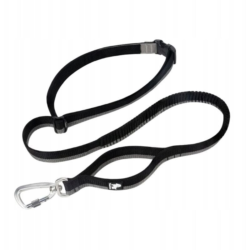 Truelove elastische Leine mit Ruckdämpfer STRONG L