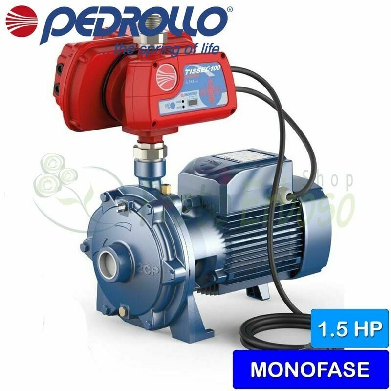 

Pedrollo - TS1-2CP 25/14B - Grupo de presión de una sola fase de 1.5 HP