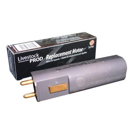 Tsar Motor Sparkler
