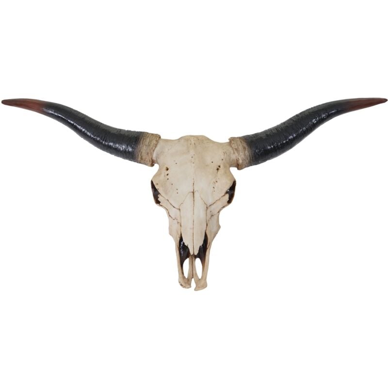 Tête de taureau décoration murale 75cm trophée longhorn en polyrésine intérieur/extérieur naturel 040002852