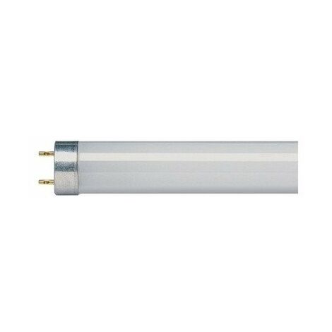 Tube Fluo Standard  G13 Blanc Chaud  58 1500 X 26 5220