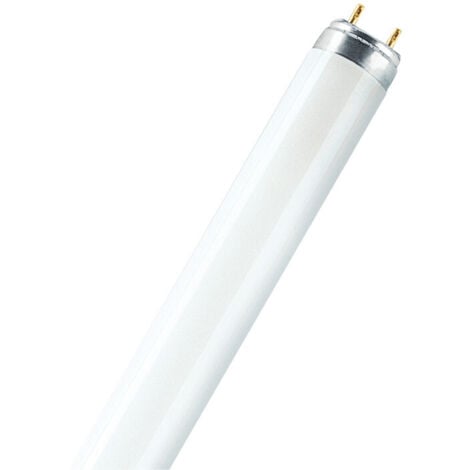 OSRAM Tube Fluorescent 58 W 6500 K 4900 Lm, Lumière Froide ø2.5 Cm X 151 Cm