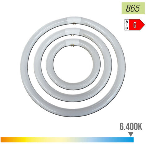 Tube fluorescent circulaire 32W Ø30 cm – Lumière froide 6500K – Culot G10q – Flux lumineux 2310 lm – Durée de vie 9000 heures – EHL