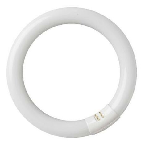 Tube fluorescent circulaire 32W T9 6400K GSC 2000590