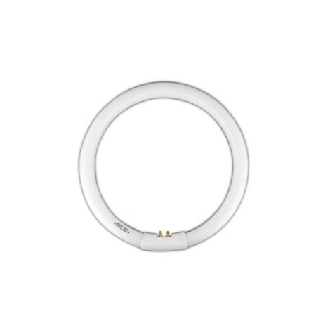 Tube fluorescent circulaire T9 22w Light Blanco Dia 6500k 80.359/t9/22/dia