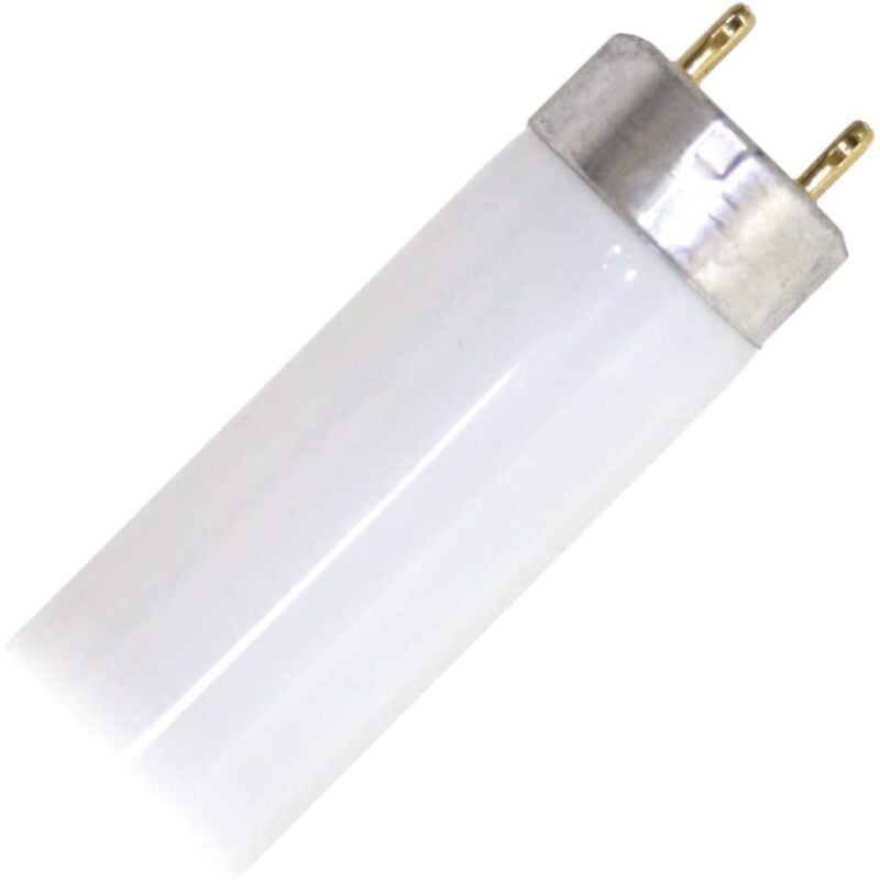 Philips - Tube fluorescent droit T8 30540 - tld 30W/54 6500