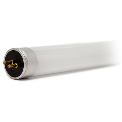 Tube LED T5 8W 550 mm | blanc-neutre-4000k