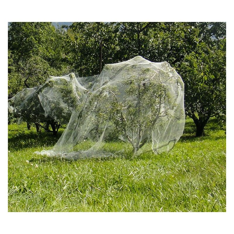 Filet anti-insecte Alt'Carpo - Nappe Taille Filet: 12 x 12 m