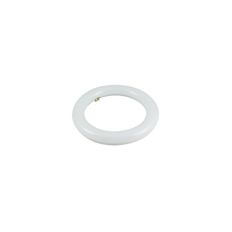Tubo circolare a led T9 14w luce 6400k