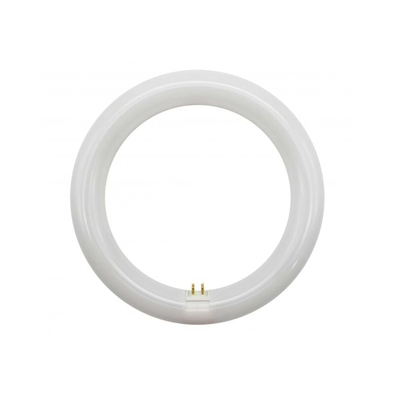 

Tubo de LED T9 15W G10Q Blanco Frío 6500K - Iluminashop