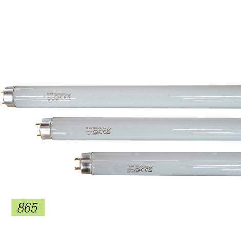 Tubo Fluorescente 36W Trifosforo 865K Belight