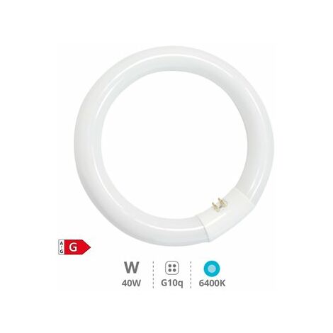 Tubo a LED circolare, modello T9, 20 W, luce bianca diurna, 6.500 K, alta  luminosità, 1.700 lm : : Illuminazione