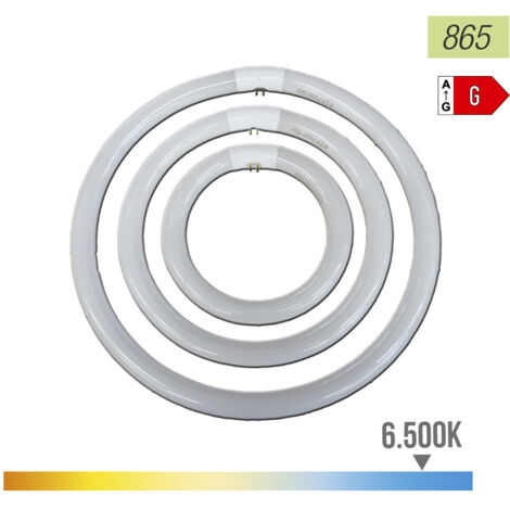 Tubo Fluorescente Circular 22W Ø21cm LuzFría 6500K 1250lm Mate ClaseEnergéticaG Philips