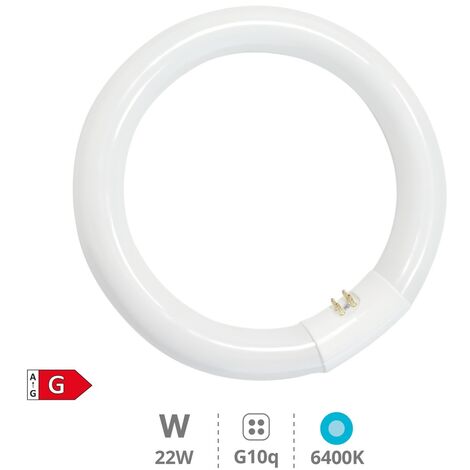 Tubo fluorescente circular T9 trifÃ³sforo 22W G10q 6400K