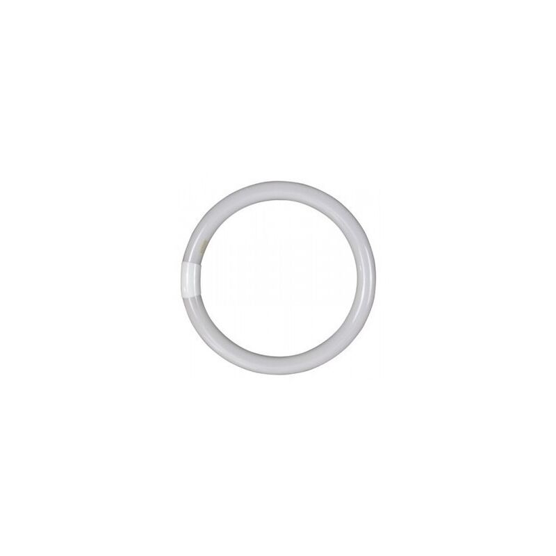

Tubo Iluminacion Fluorescente Circular 32W 6500 K - Garza