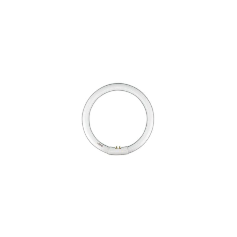 

Tubo fluorescente circular trifósforo T9. 22W-DIA 80.359/T9/22/DIA 8430552130917 - Electro Dh