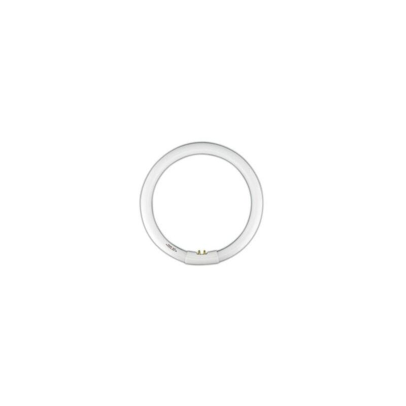 

Tubo fluorescente circular Trifósforo T9. 40W-DIA 80.359/T9/40/DIA 8430552130931 - Electro Dh