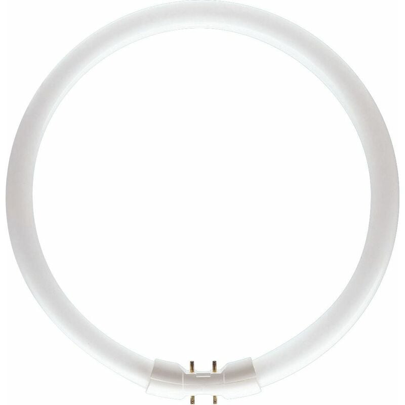 

MASTER TL5 Circular 55W/840 1CT/10 64251625 - Philips