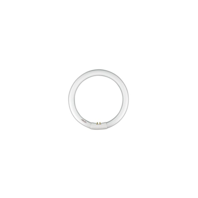 

Tubo fluorescente Tipo T5 6.400 K 16 mm . Color Blanco Dia 80.355/T5/22/DIA 8430552116850 - Electro Dh