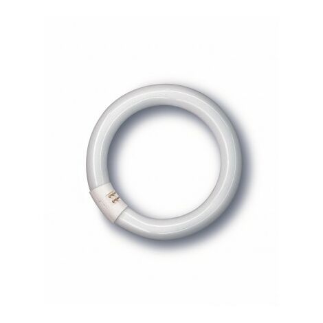 CEGASA - POESSA TUBO FLUORESCENTE CIRCULAR OSRAM 32 W