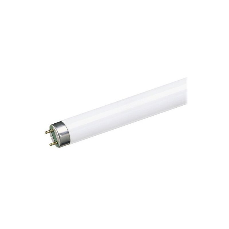 

Tubo Iluminacion Fluorescente Trifosforo Recto 18W 6500 K - Osram