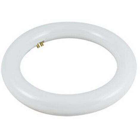 Tubo Led Circular T9 14w Luz 6400k 81.548/15/dia