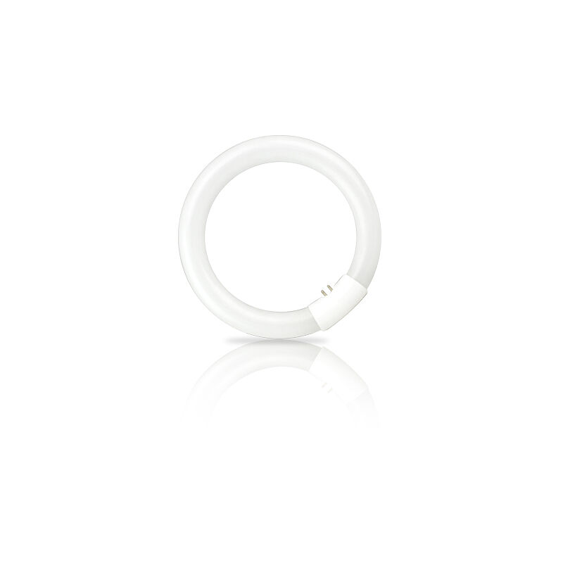 

Tubo Fluorescente circular 40W 6400K 230V