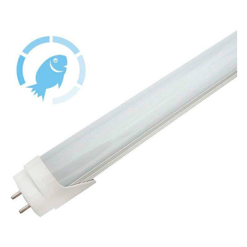 

Tubo LED T8, 22W, 150cm, Pescadería, Blanco frío - Blanco frío