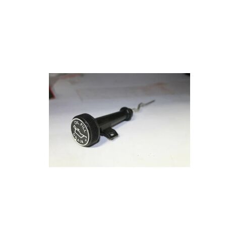 Tubo livello olio motore rasaerba originale BRIGGS & STRATTON 395869