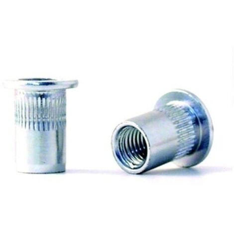 Tuerca Remach En 10016 M-06 C/Anch Ac Cinc Bralo 250 Pz