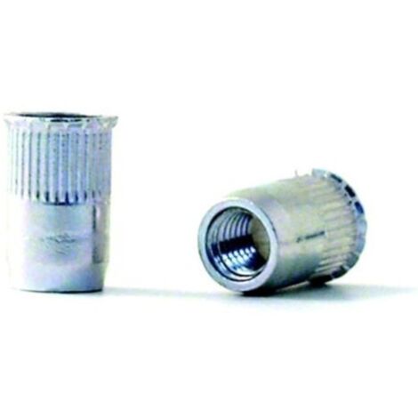 Tuerca Remach En 10016 M-08 C/Baja Ac Cinc Bralo 250 Pz