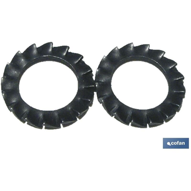 

Arandelas elásticas en abanico dentado exterior bl 30 uds din-6798 m-6 venta unitaria