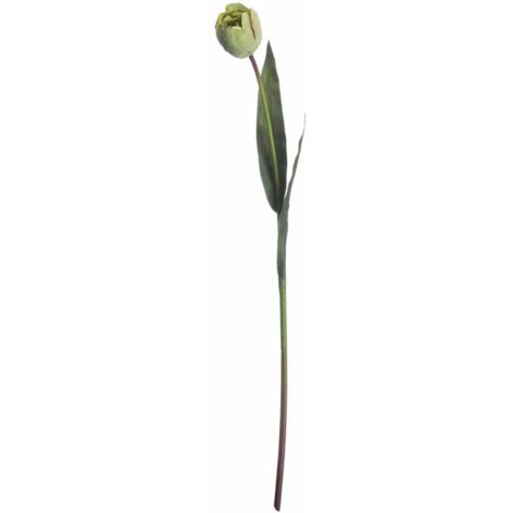 Tulip Artificial Flower - Plastic - L8 x W8 x H50 cm - Green
