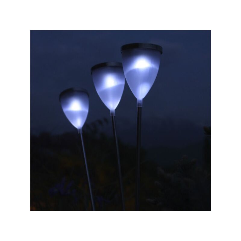 Tulipa blanches watt&home 40141