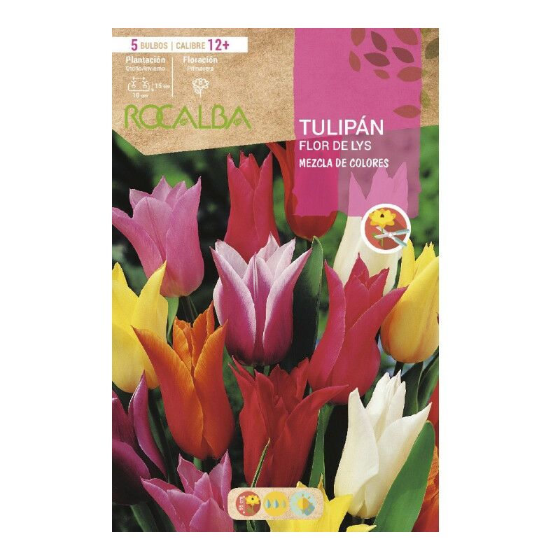 Comprar bulbos de tulipanes