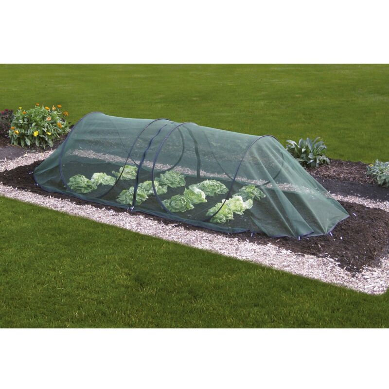 

Tunel de cultivo anti insectos y pájaros