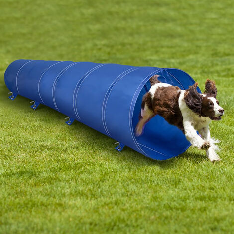 EDCO Tunnel Gioco Addestramento Cani Gatti Animali Cinofilo 3 Metri Giochi di Agilità