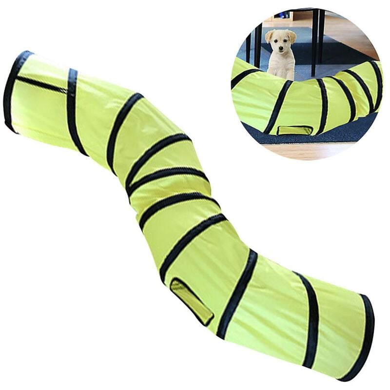 Tunnel pour chat, également inclus un jouet interactif pour chat, jouets pour chats, chat