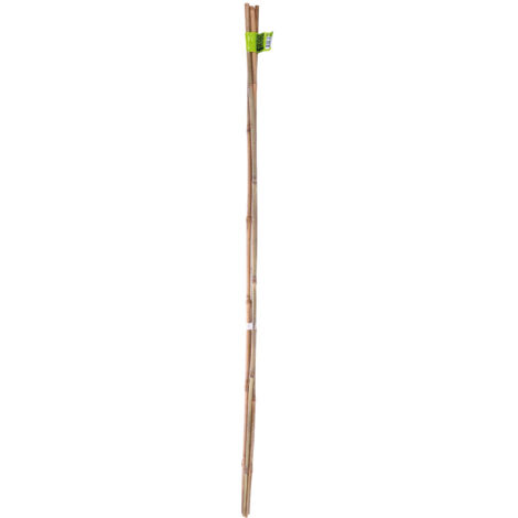 Tuteur bambou 120cm ép.10/12mm lot de 3 pièces - NORTENE