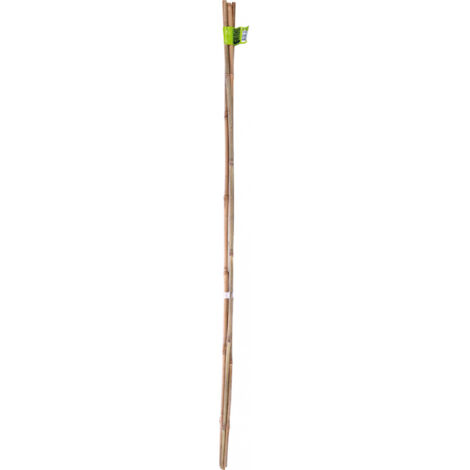 Tuteur bambou 180cm d12/14mmx - NORTENE