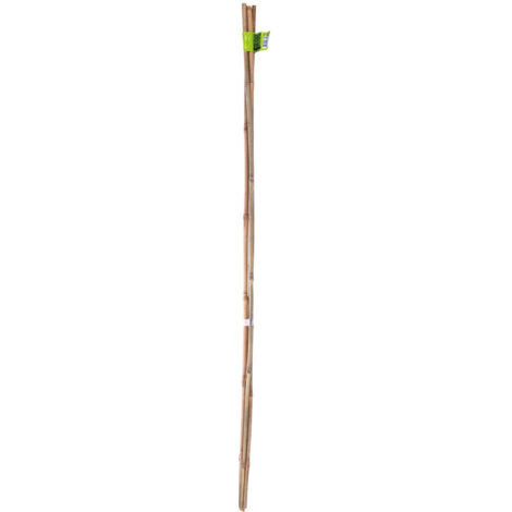 Tuteur bambou naturel 0,90m par 4 pièces - NORTENE