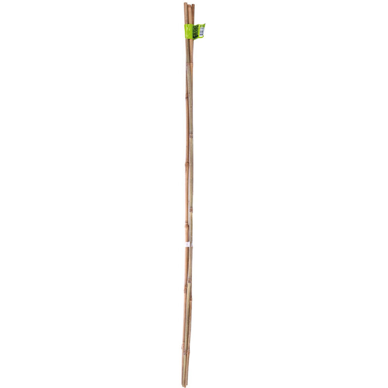 Nortene - Tuteur bambou 120cm ép.10/12mm lot de 3 pièces
