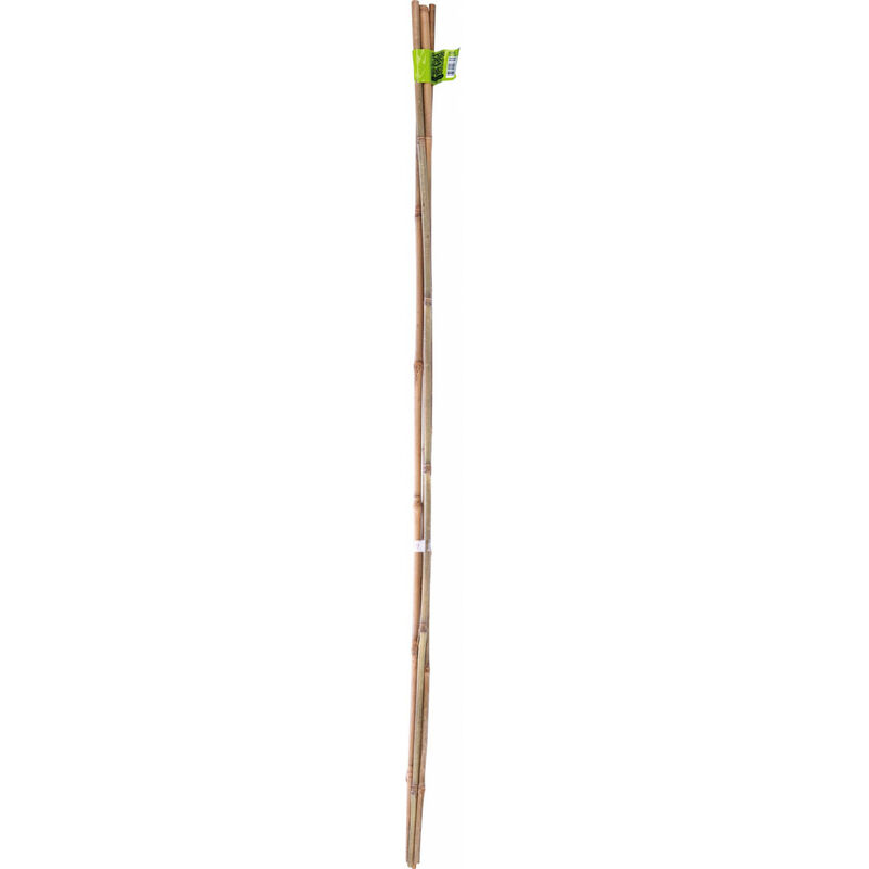 Nortene - Tuteur bambou naturel 210cm d16/18mm x210cm